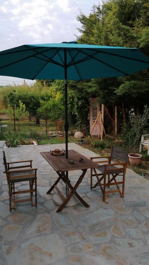 Tiny House By The Sea Villa เนอา สกีโอนี ภายนอก รูปภาพ