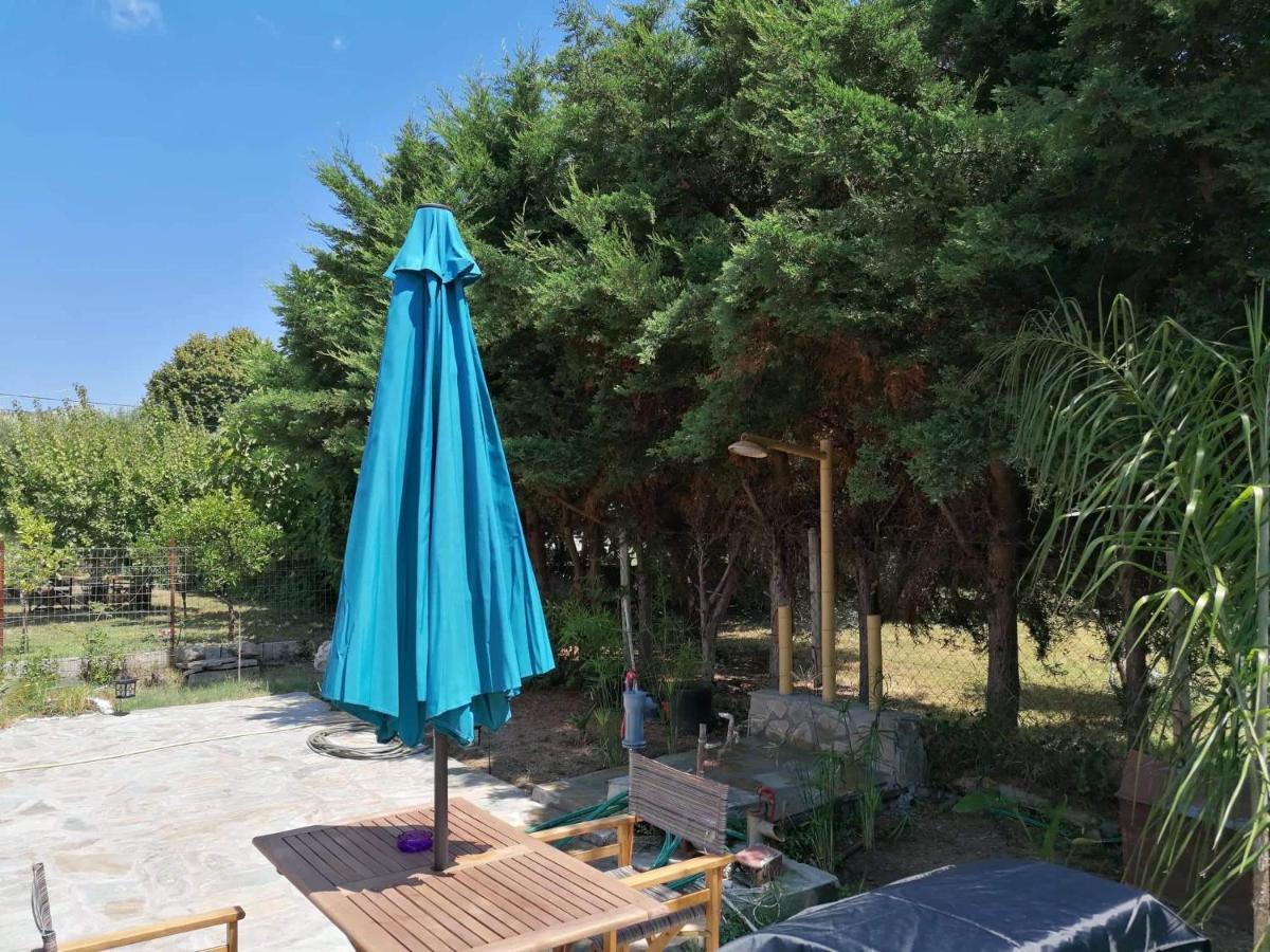 Tiny House By The Sea Villa เนอา สกีโอนี ภายนอก รูปภาพ