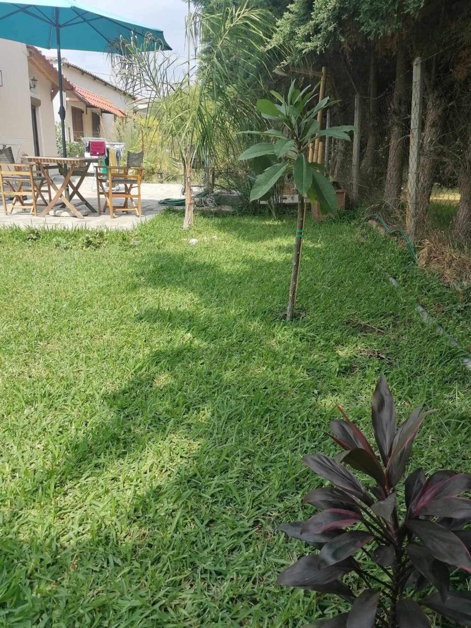 Tiny House By The Sea Villa เนอา สกีโอนี ภายนอก รูปภาพ